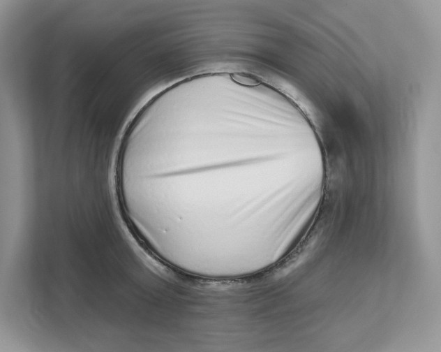 X0000110880803200907091420