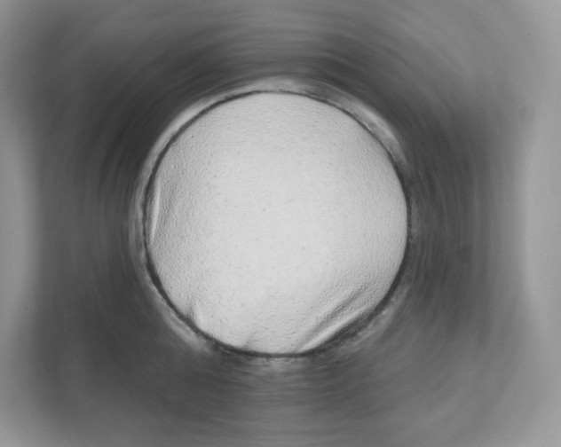 X0000110880808200907091420