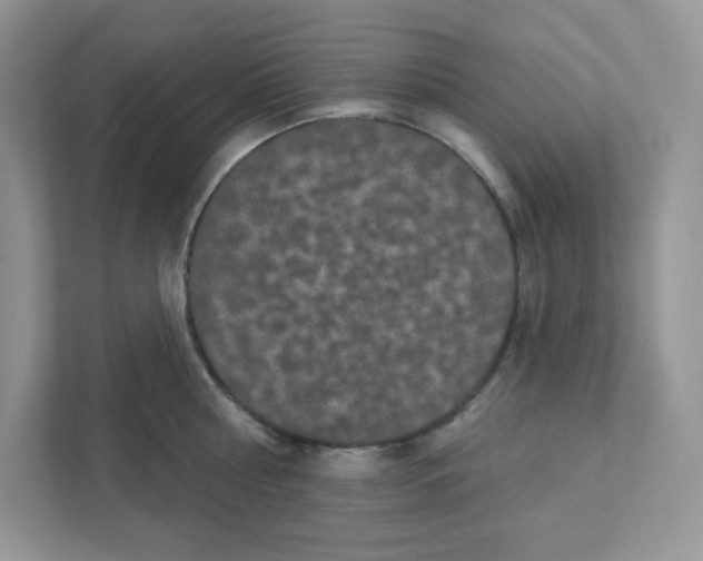 X0000110880810200907091420