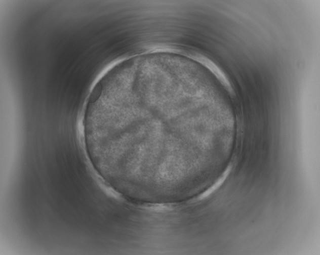 X0000110880814200907091420