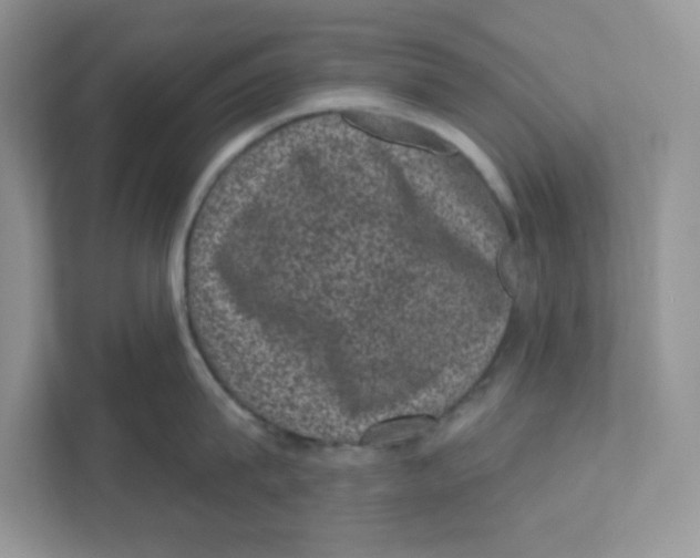 X0000110880815200907091420