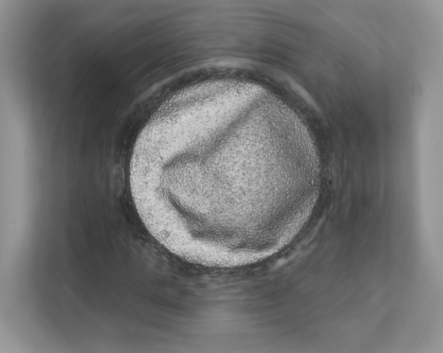 X0000110880821200907091419