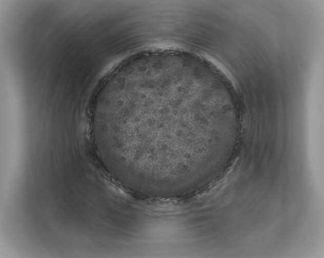 X0000110880823200907091419