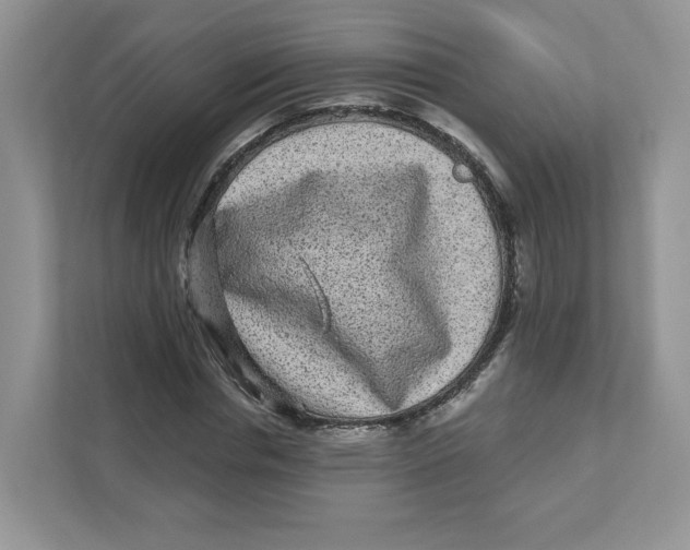 X0000110880826200907091419