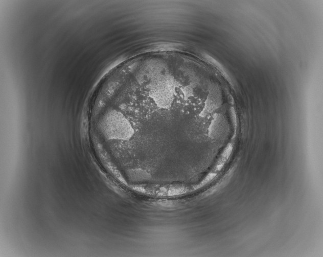 X0000110880827200907091419