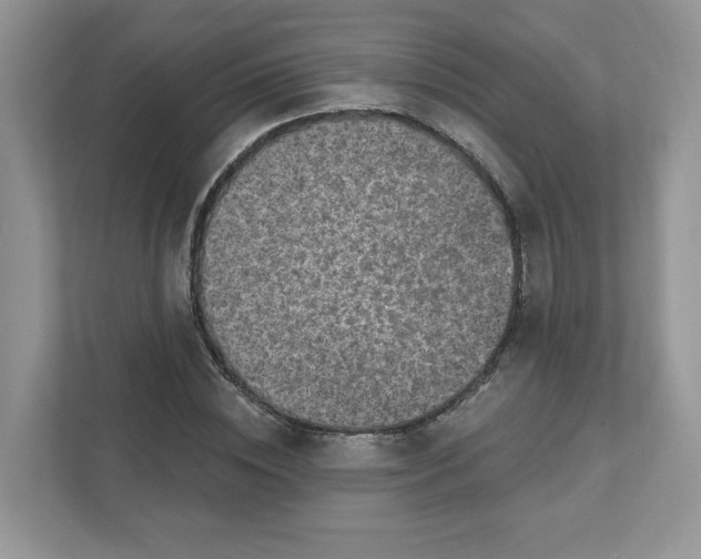 X0000110880828200907091419