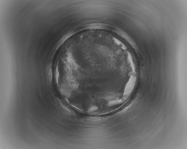 X0000110880829200907091419