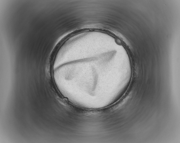 X0000110880830200907091419