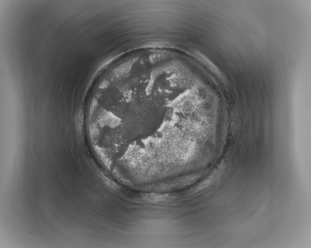 X0000110880831200907091420