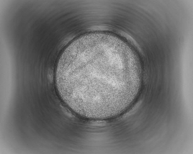 X0000110880833200907091420