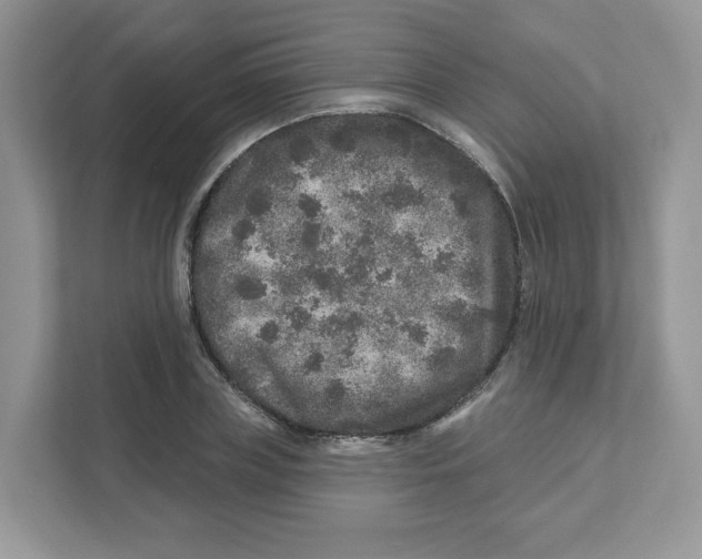 X0000110880835200907091420