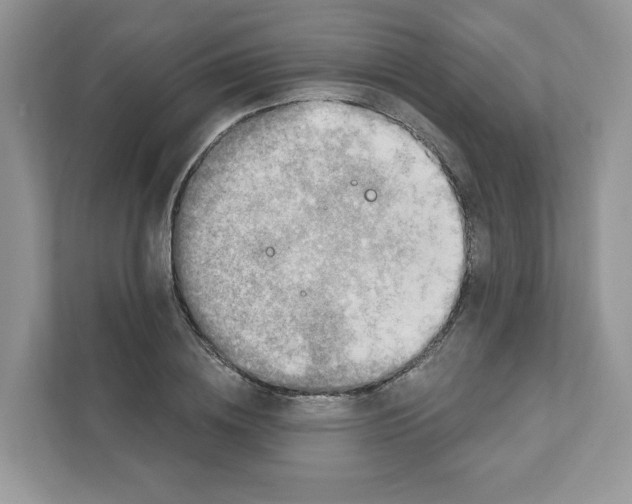 X0000110880836200907091420