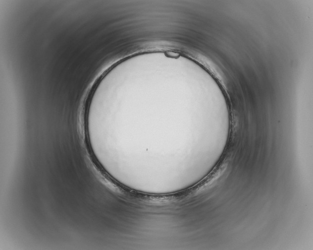 X0000110880843200907091420