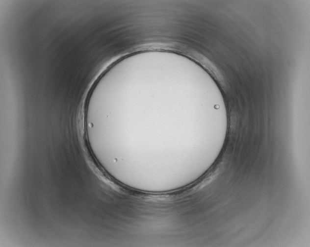 X0000110880844200907091420