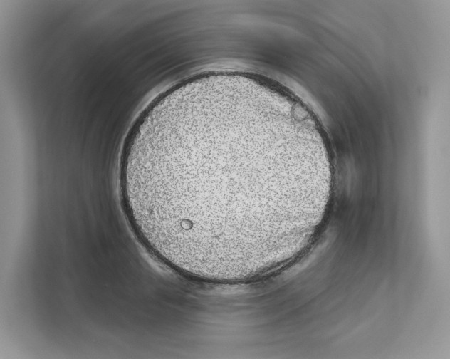 X0000110880845200907091420