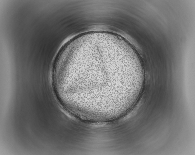 X0000110880846200907091420