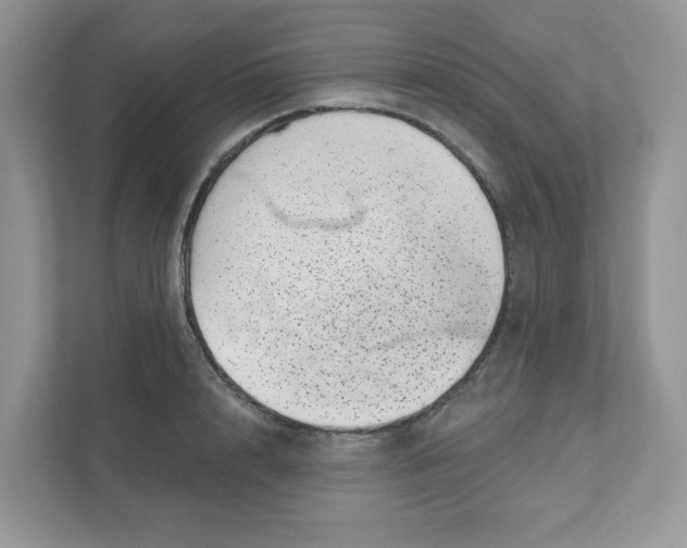 X0000110880848200907091420