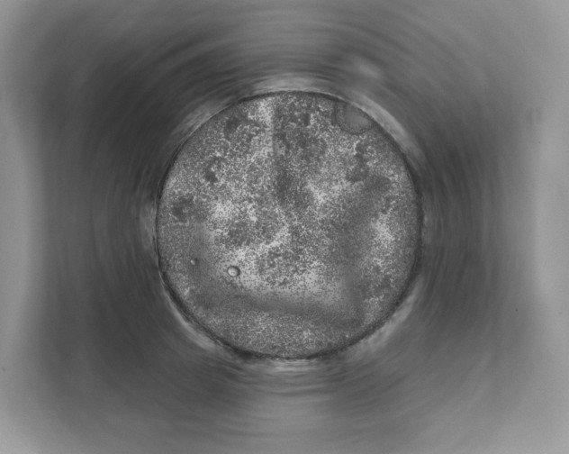 X0000110880849200907091420