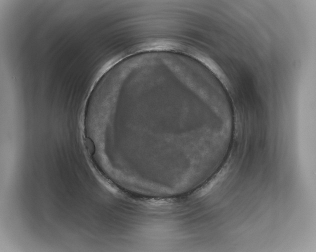 X0000110880850200907091420