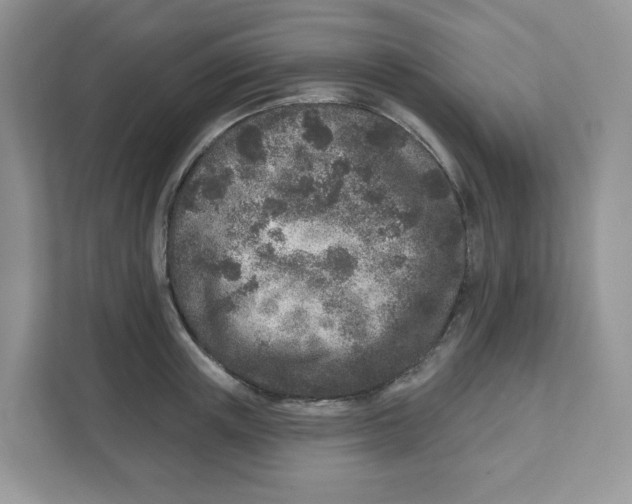 X0000110880851200907091420