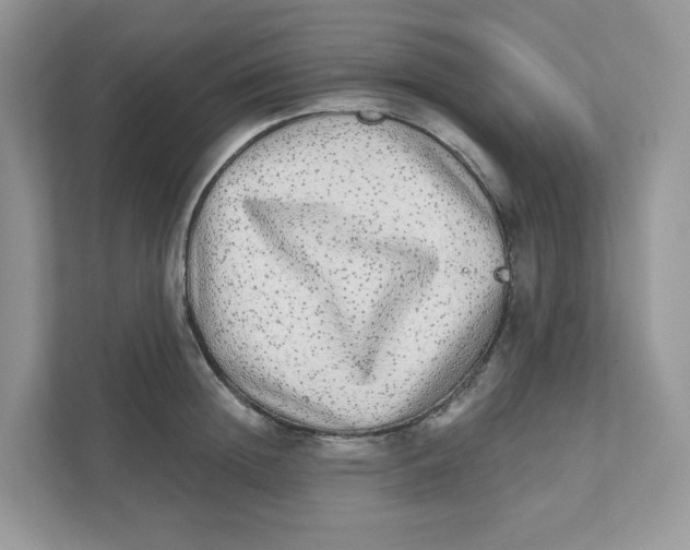 X0000110880852200907091420