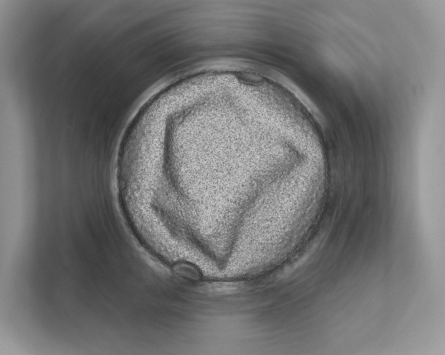 X0000110880853200907091420