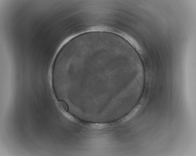 X0000110880854200907091420