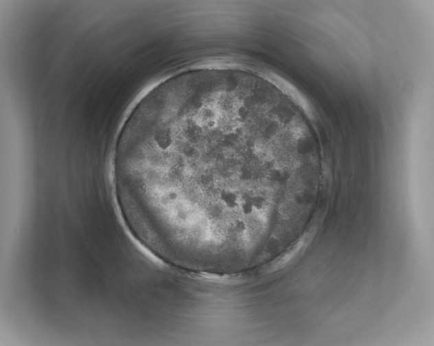 X0000110880855200907091420