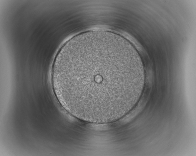 X0000110880856200907091420