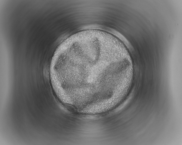 X0000110880857200907091420