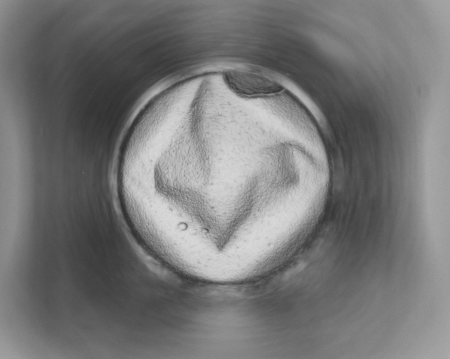 X0000110880861200907091420