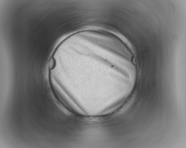 X0000110880862200907091420