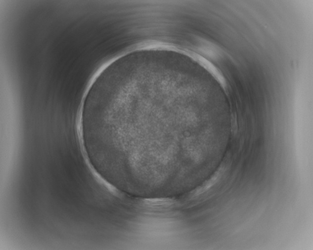 X0000110880863200907091420