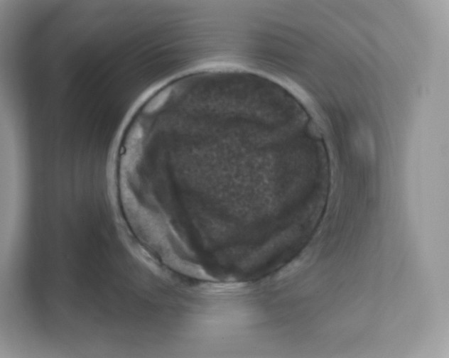 X0000110880864200907091420