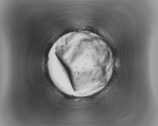 X0000110880867200907091419