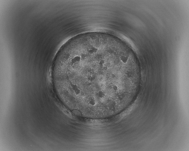 X0000110880875200907091419