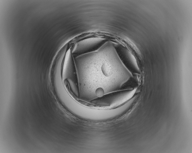 X0000110880876200907091419