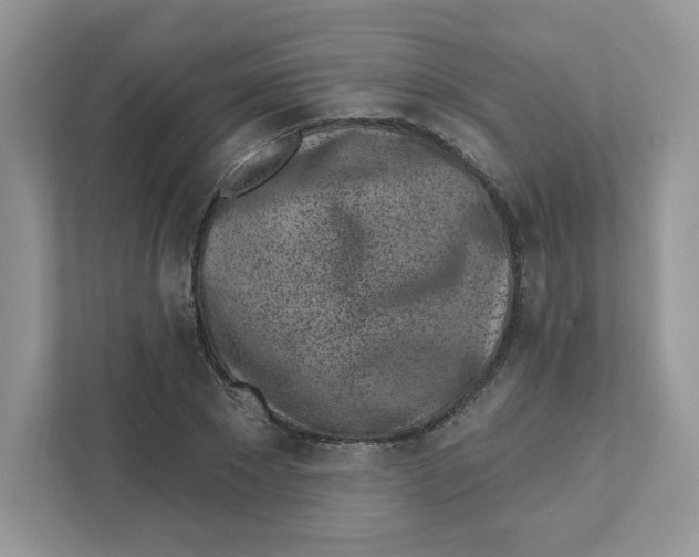 X0000110880881200907091419