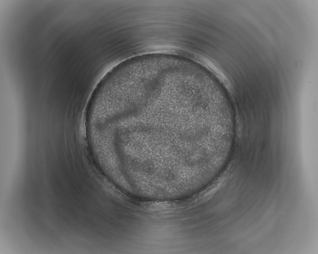 X0000110880883200907091419