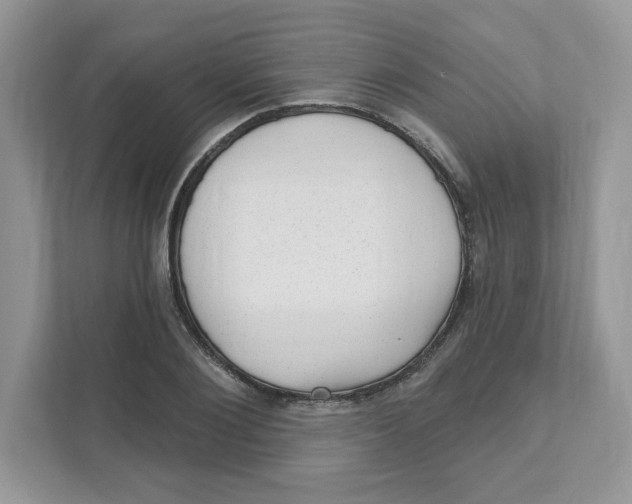 X0000110880884200907091419