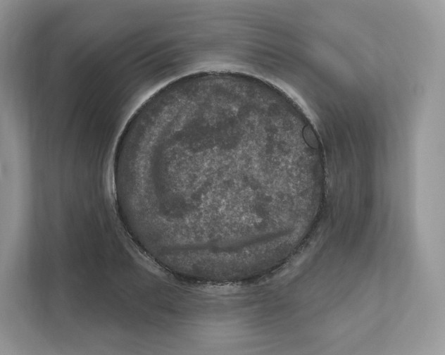 X0000110880887200907091419