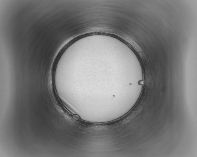 X0000110880888200907091419