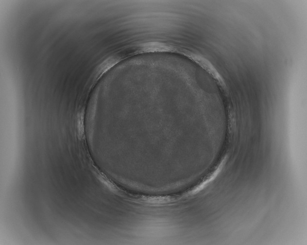 X0000110880889200907091419