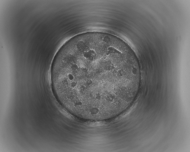 X0000110880891200907091419