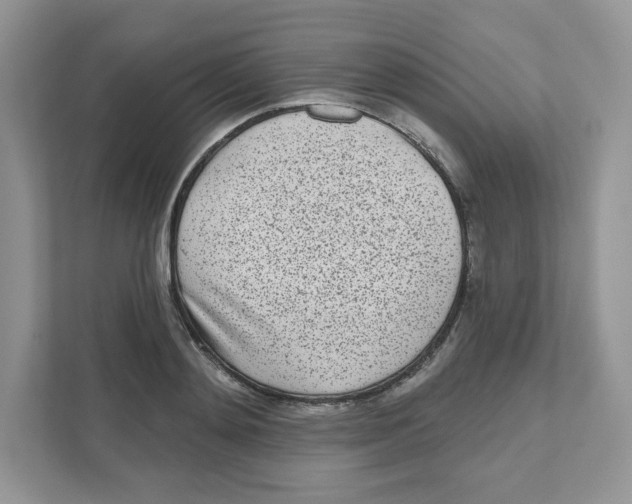 X0000110880892200907091419