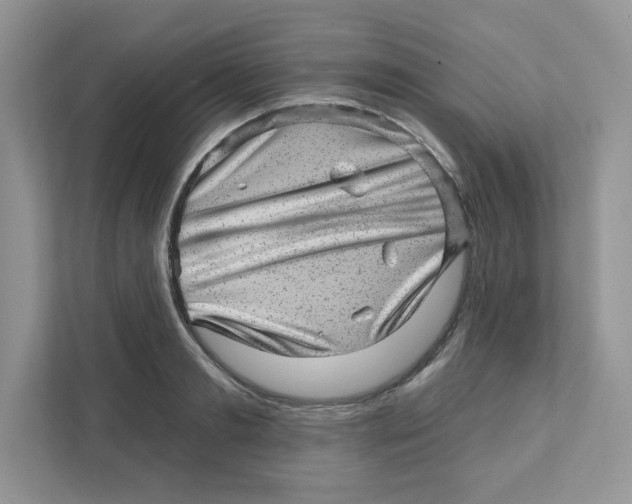 X0000110880893200907091419