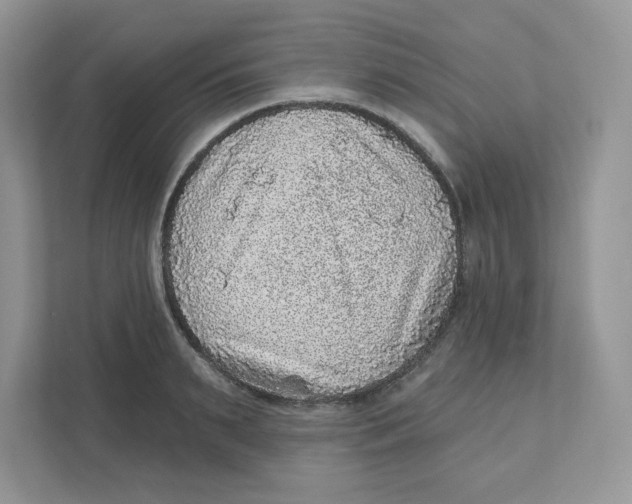 X0000110880895200907091419