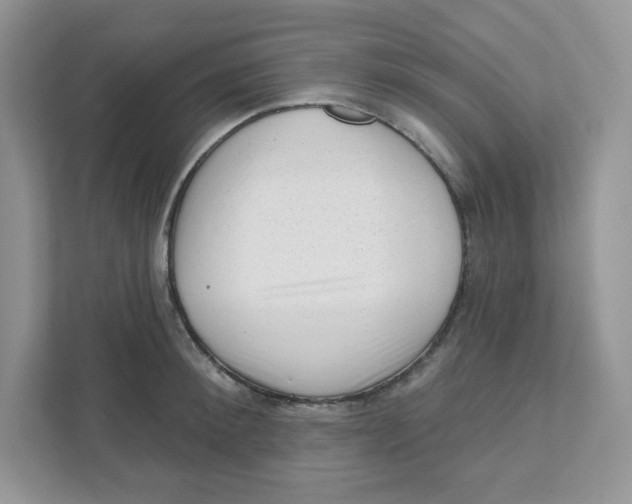 X0000110880900200907091419