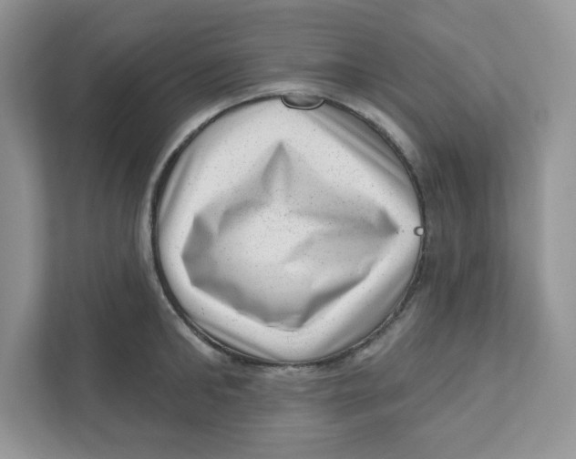 X0000110880902200907091419