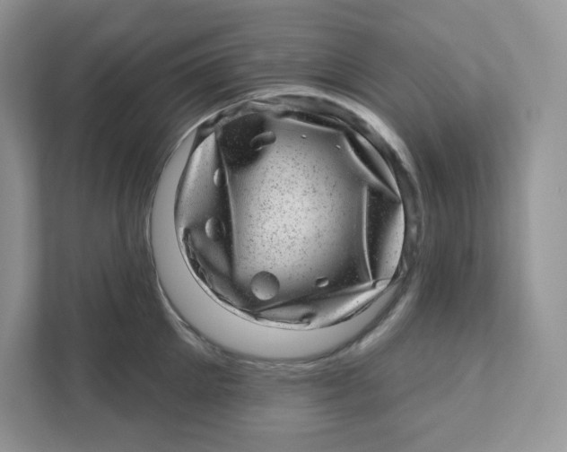 X0000110880905200907091419